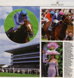 Tracy Rose Horse and Hounds 2002